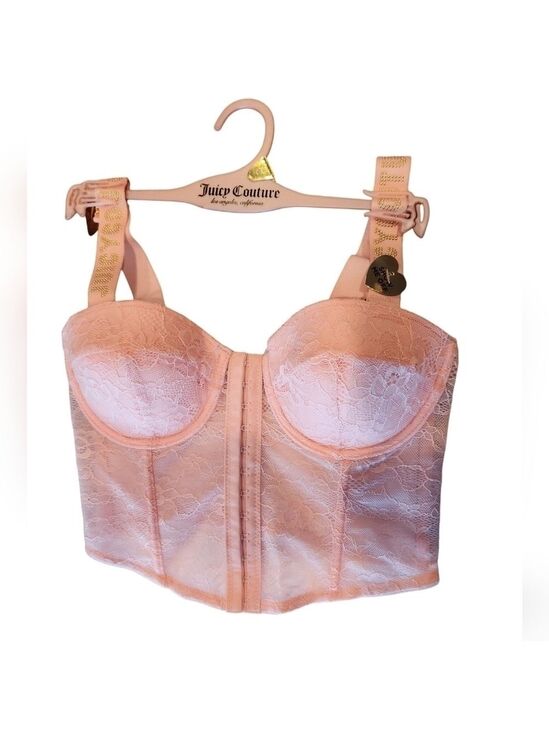 Juicy Couture Other - Juicy Couture Pink Lace Bustier, Gold Studded Logo Straps, 34C, New With Tags